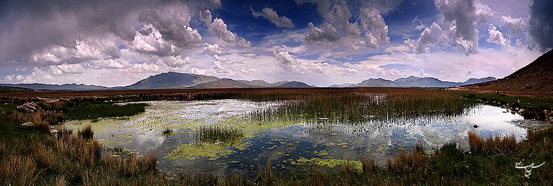 ایران شناسی