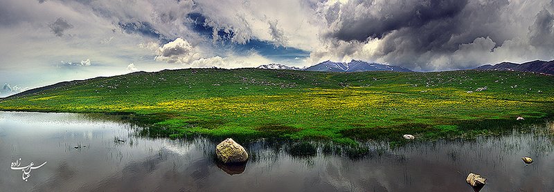 ایران شناسی