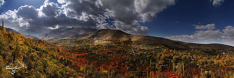 ایران شناسی