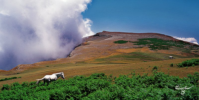 ایران شناسی