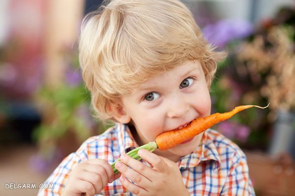 ۶ دستور غذایی عالی برای کودکان با استفاده از هویج