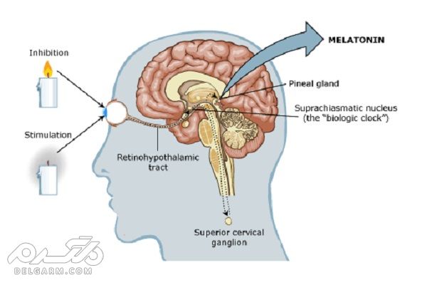 ملاتونین