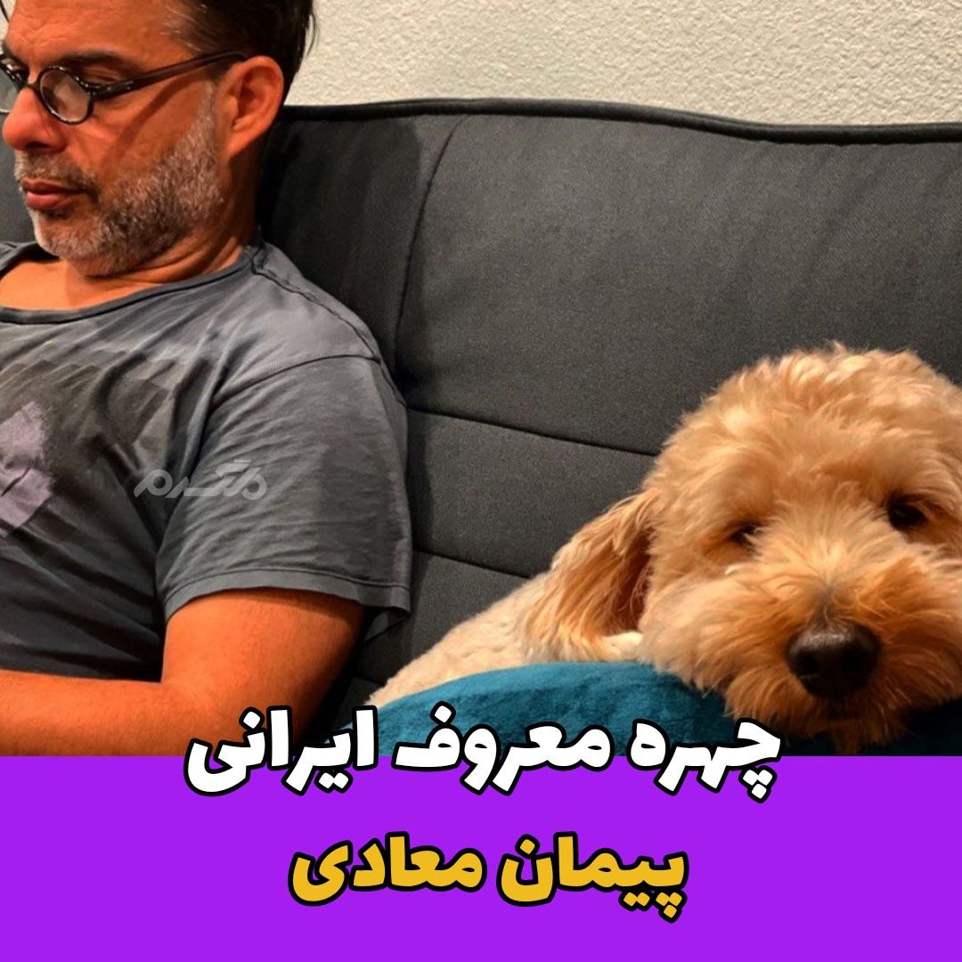 بازیگر مرد / پیمان معادی