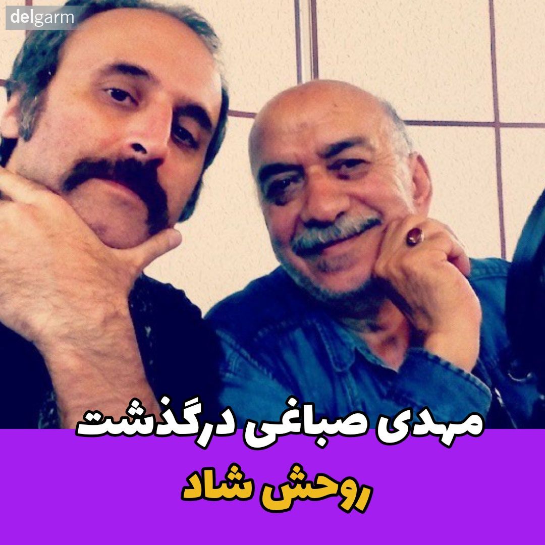 بازیگر مرد / مهدی صباغی