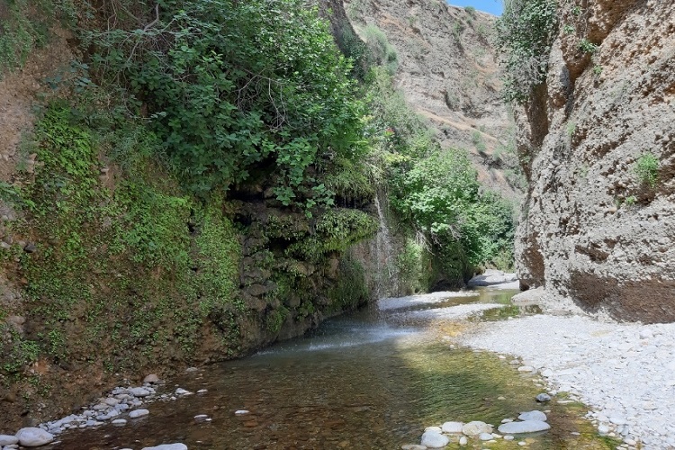 دره ای سرسبز و خنک در قلب خوزستان 