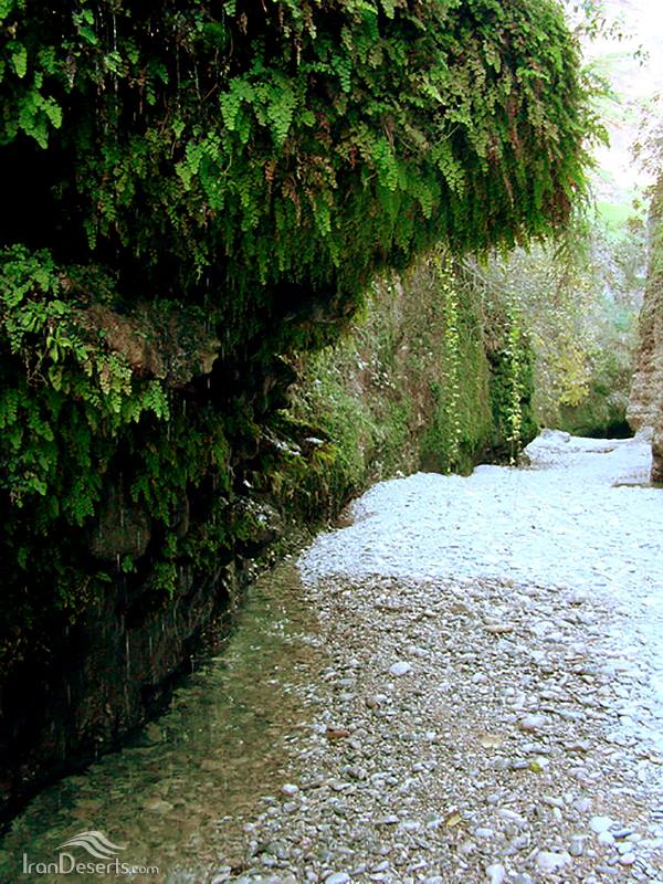 دره ای سرسبز و خنک در قلب خوزستان 