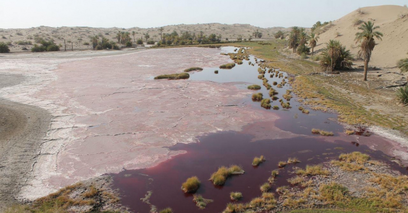 باتلاق جازموریا با مساحت 69 هزار کیلومتر مربع