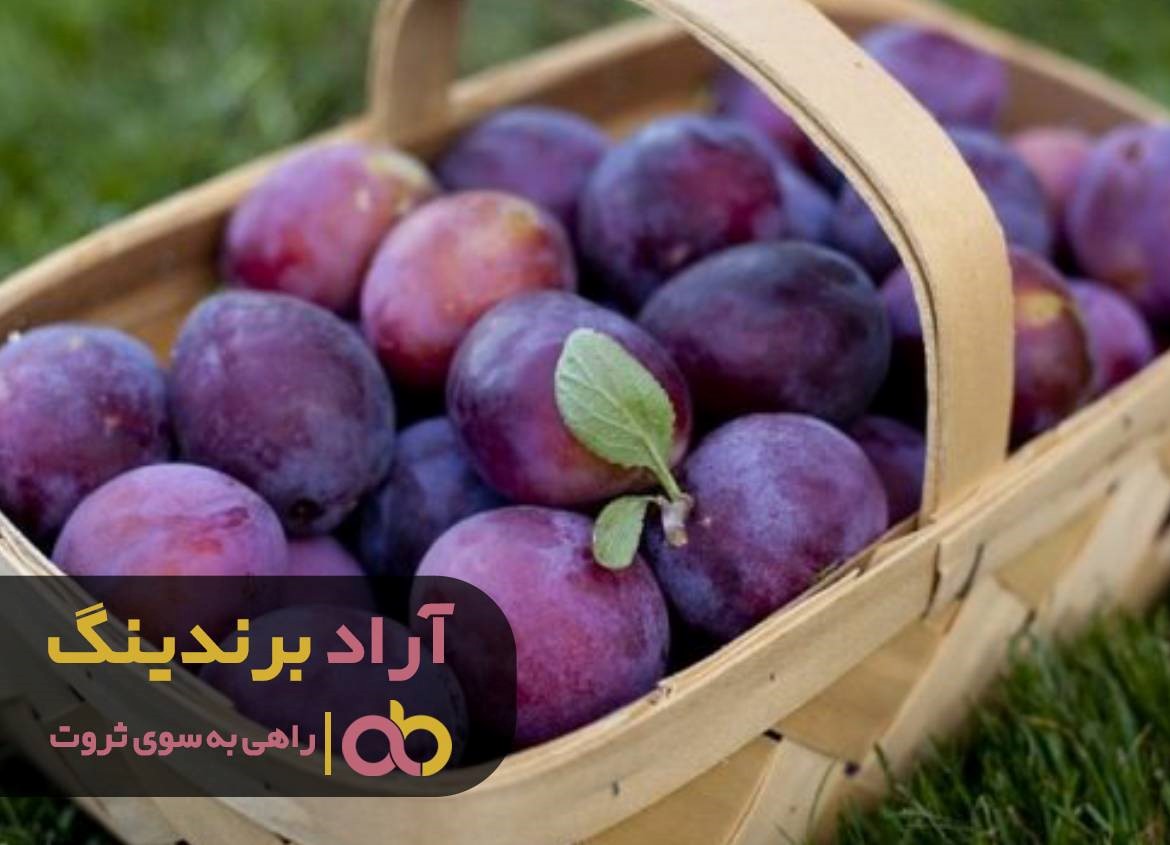 برند آراد